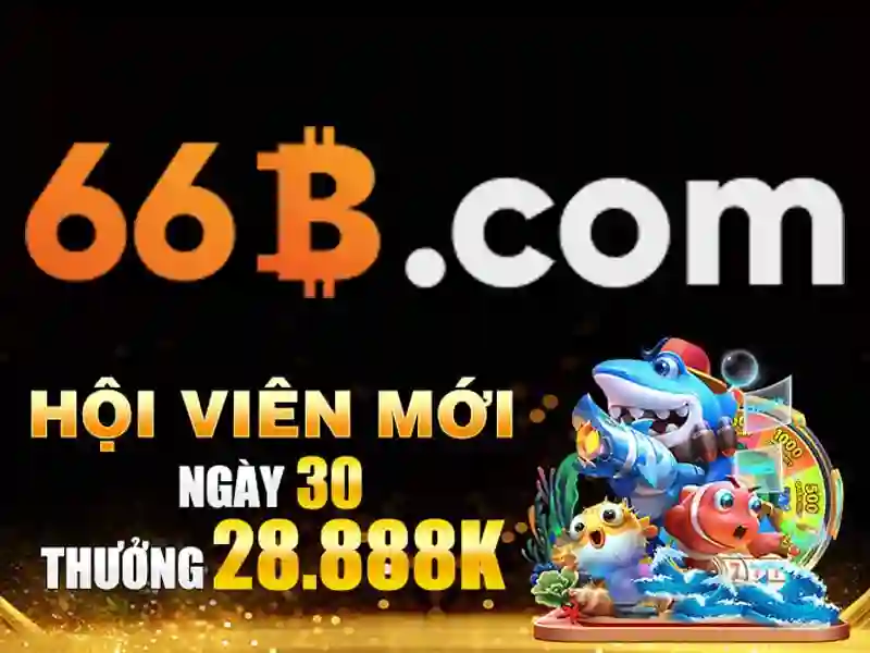 Hiểu rõ kích thước và hạn chế của 66B