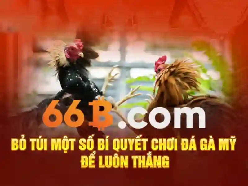 Đặc điểm nổi bật của 66B