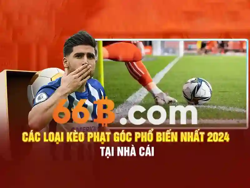 66b: một khái niệm hiện đại