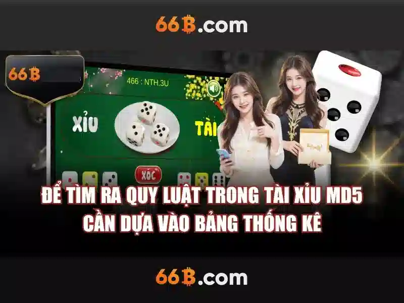 66b trong đời sống và văn hóa