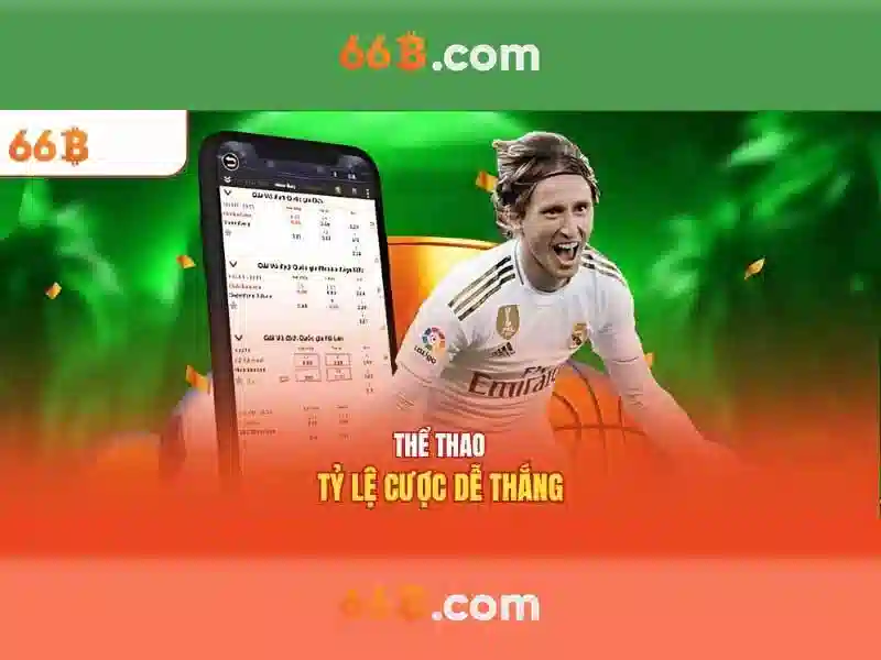 66b stgb – Sản phẩm và dịch vụ