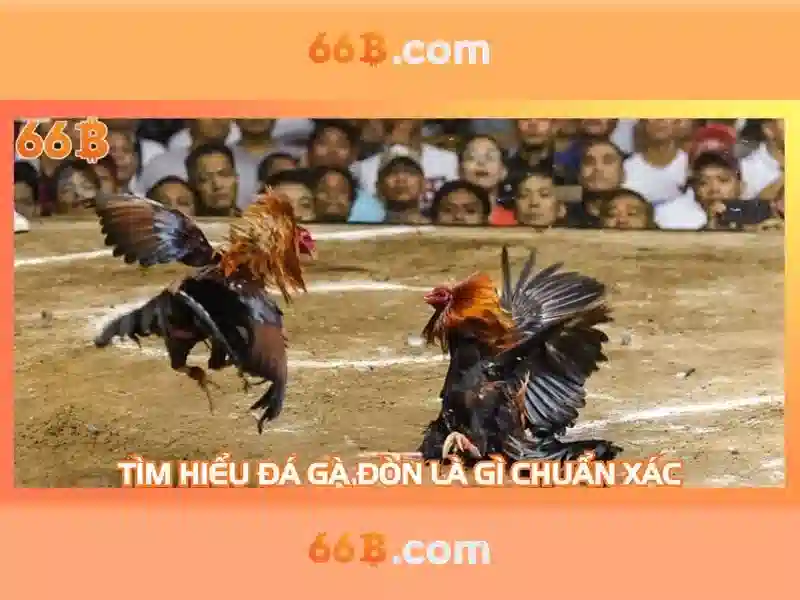 66b: Khái niệm, cấu trúc và ứng dụng
