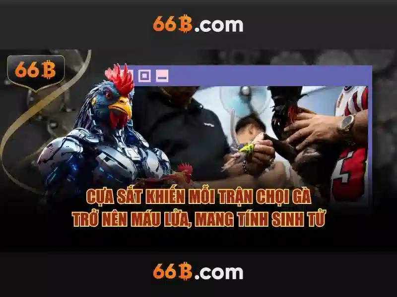 Khái niệm về 66b