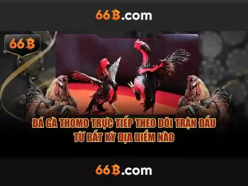 Vấn đề và thách thức