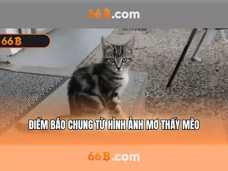 Kiến trúc và đặc điểm