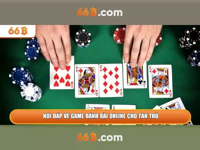 link 66b – Kết nối thông minh và giá trị bền vững