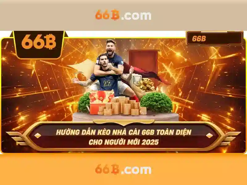 66B: Khái niệm và tác động