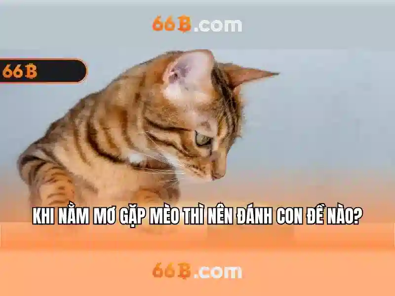 carrera 60 66b 05 como llegar en transmilenio – Hướng dẫn và trải nghiệm