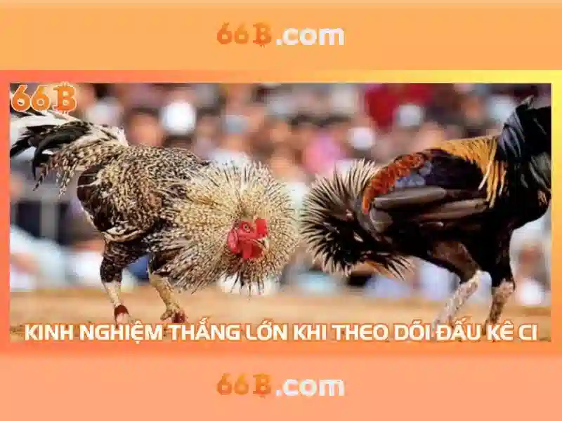 66b là gì và vì sao nó quan trọng?