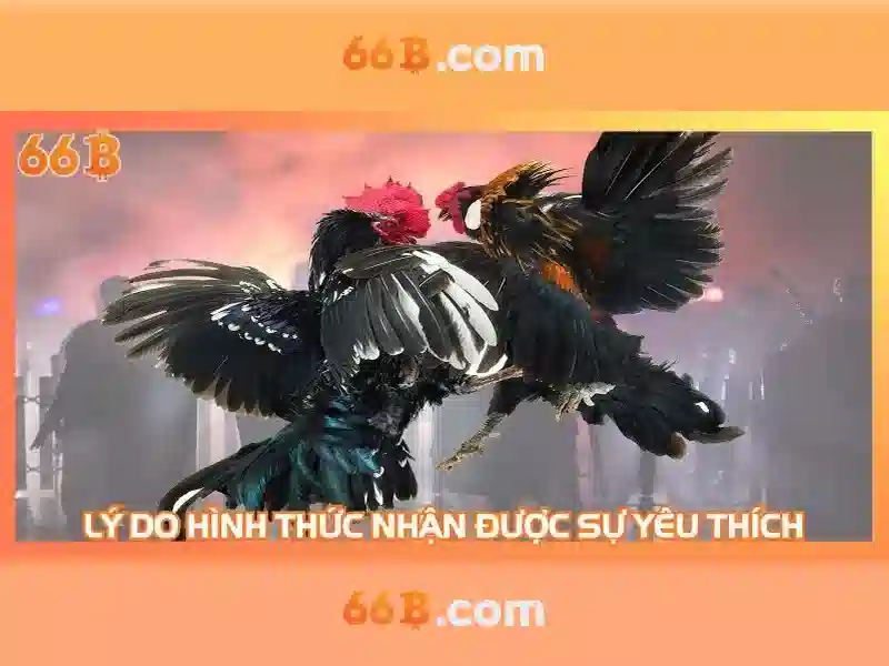 66b trong ngữ cảnh lập trình và thiết kế hệ thống