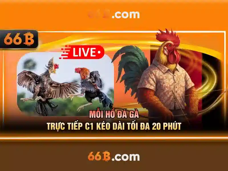 66B: Hiểu về mô hình ngôn ngữ lớn 66 tỷ tham số