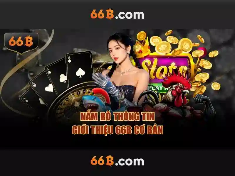 66b: một ký hiệu đơn giản, nhiều ý nghĩa