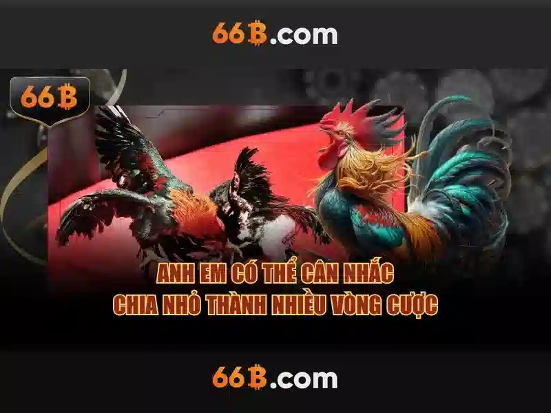 Thách thức và hạn chế của 66B