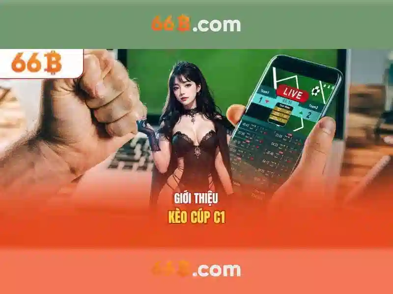 <!--IMG_PLACEHOLDER alt>Trải nghiệm người dùng và phản hồi cộng đồng-->