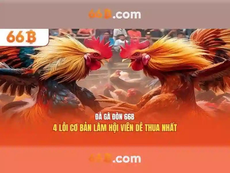 66b giftcode – Tổng quan và giá trị cốt lõi