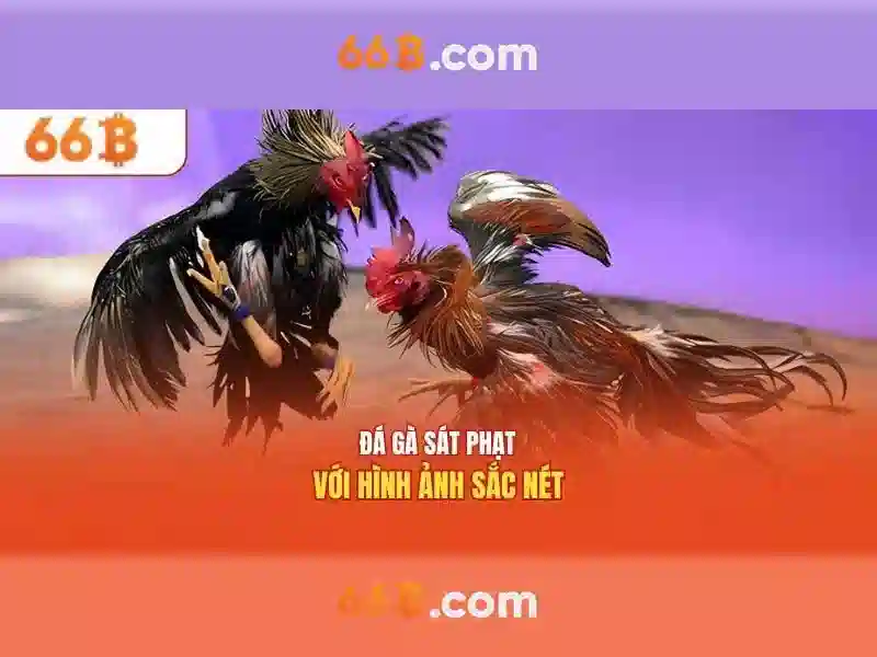 Bảo_mật_tài_khoản_xổ_số