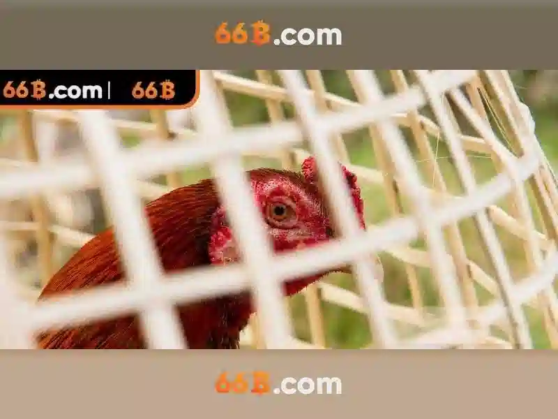 66B: Mô hình ngôn ngữ lớn 66B và sức mạnh của nó
