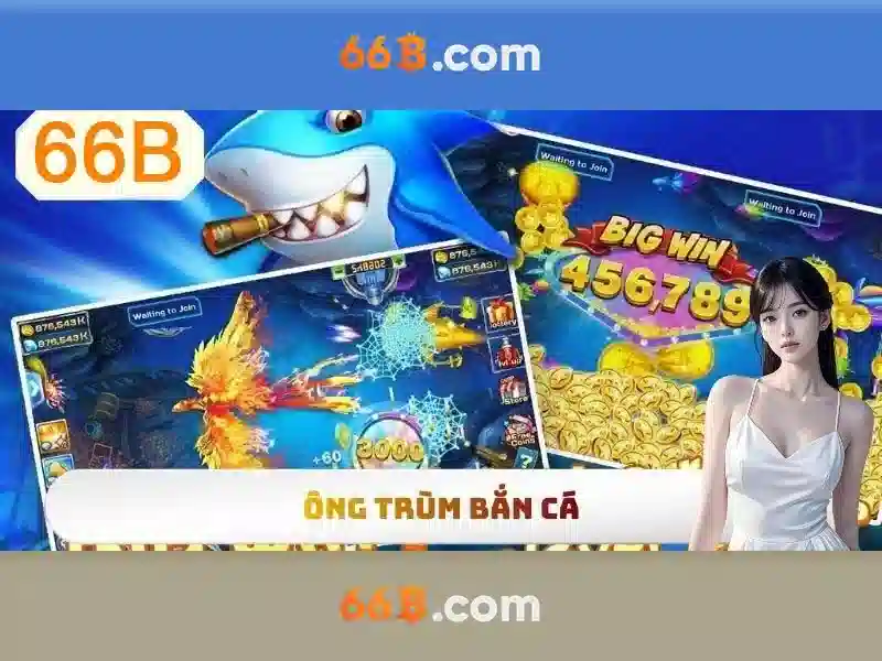 66b quang trung hải dương - Nền tảng cho trải nghiệm sáng tạo
