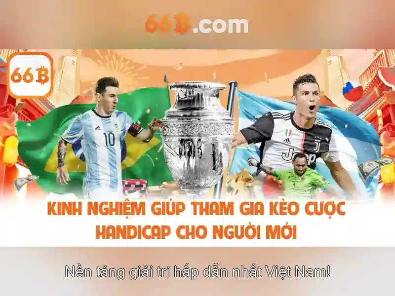 Kết luận về tương lai của 66b