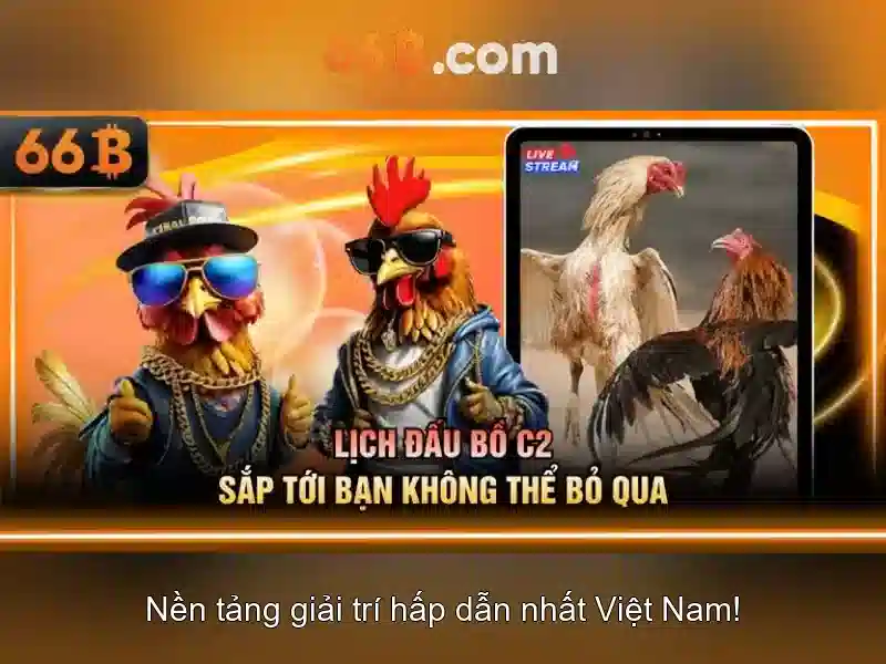 66b - một khái niệm công nghệ đang lên trong thế giới số