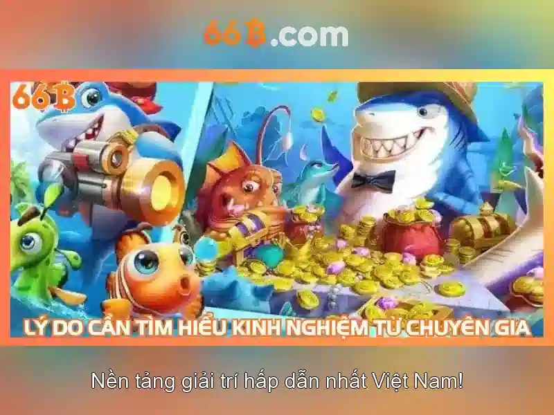 Giới thiệu về 66b