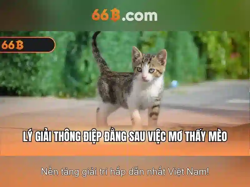 66b là gì