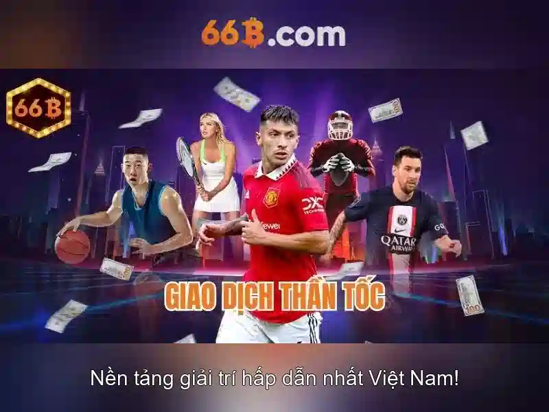 Ứng dụng và thị trường