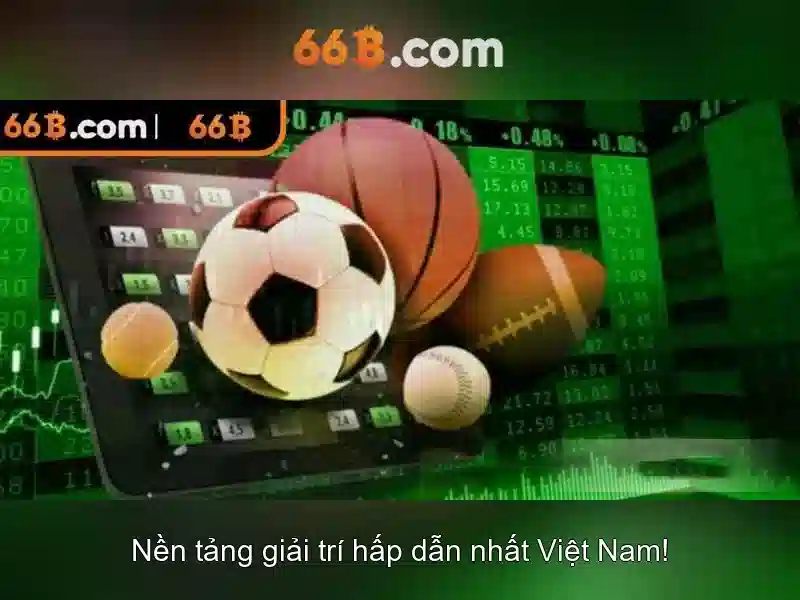 66b là gì? một khái niệm và ứng dụng