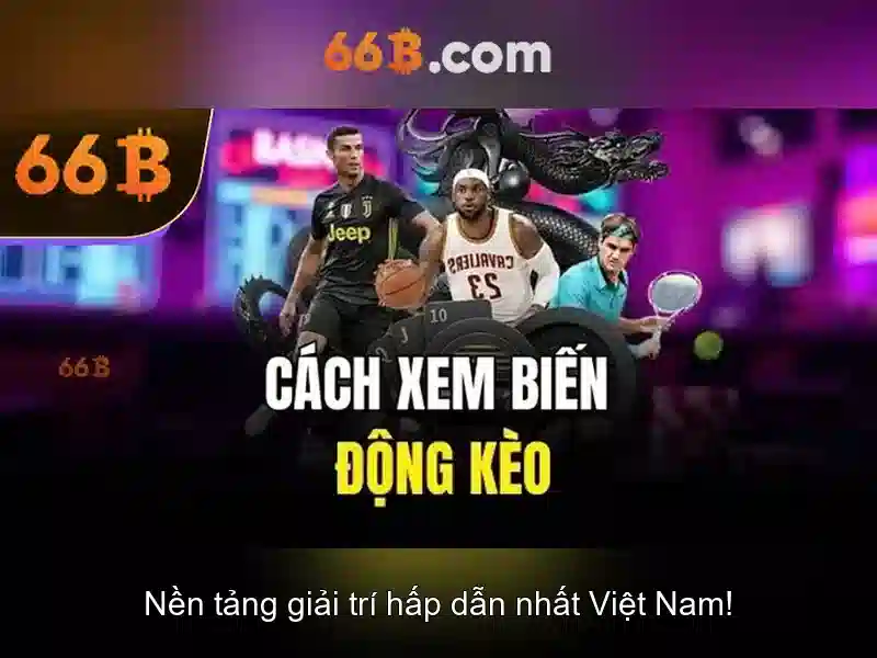 Biểu đồ và mẫu ứng dụng
