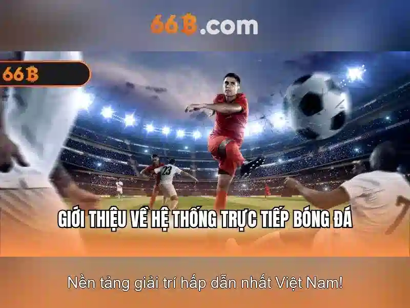 66b là gì?