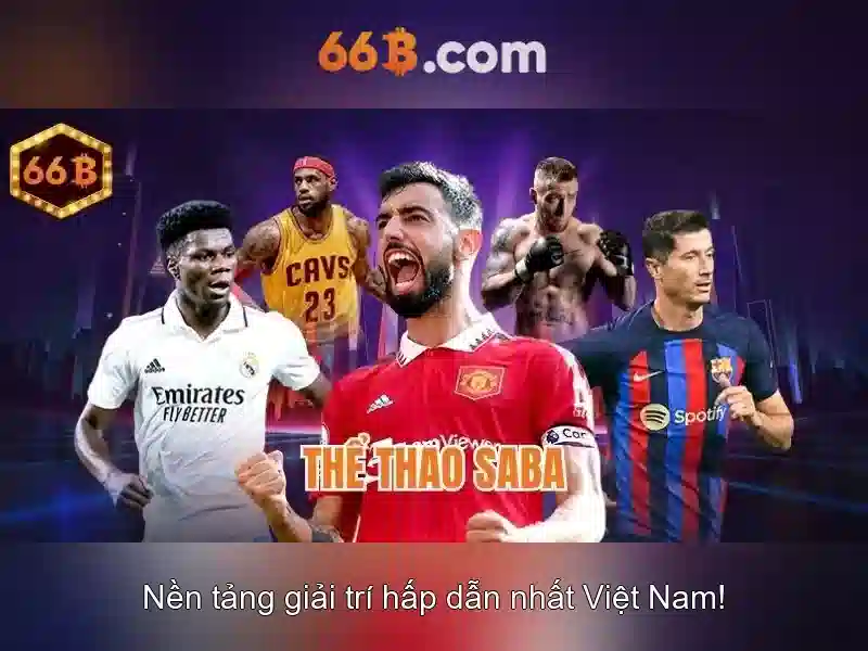 Kiến trúc và khả năng của 66b