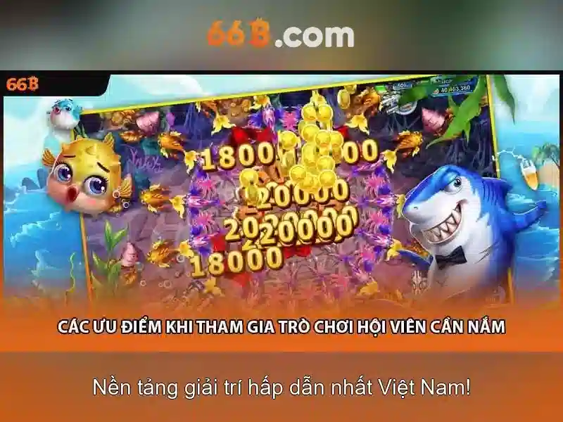 Kết luận về 66b và hành trình phát triển