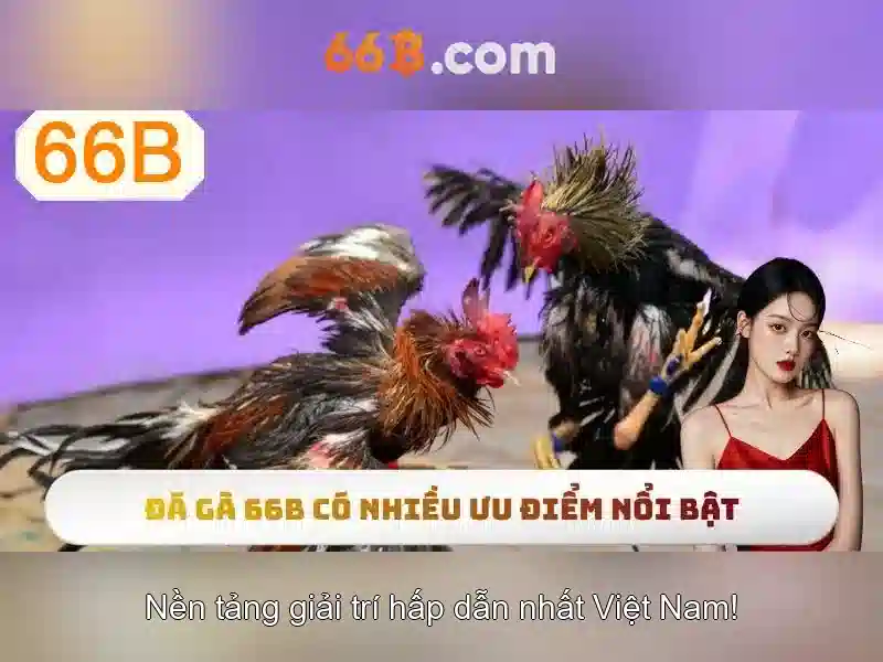 Hạn chế và an toàn