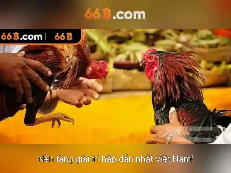 Lựa chọn kiến trức và tham số