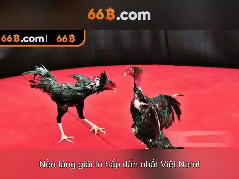 Về 66b: mô hình ngôn ngữ quy mô 66 tỷ tham số