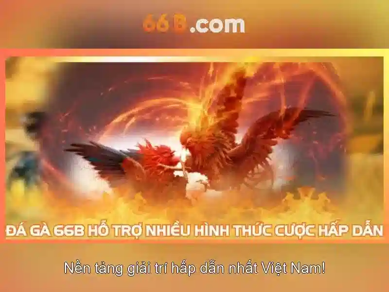 Kiến trúc và hiệu suất