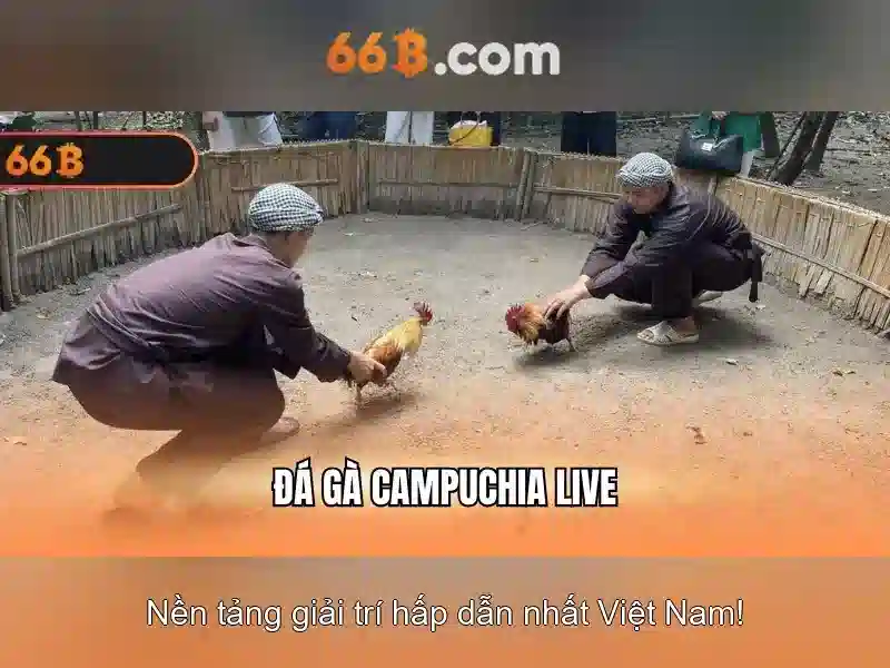 Đánh giá an toàn và trách nhiệm