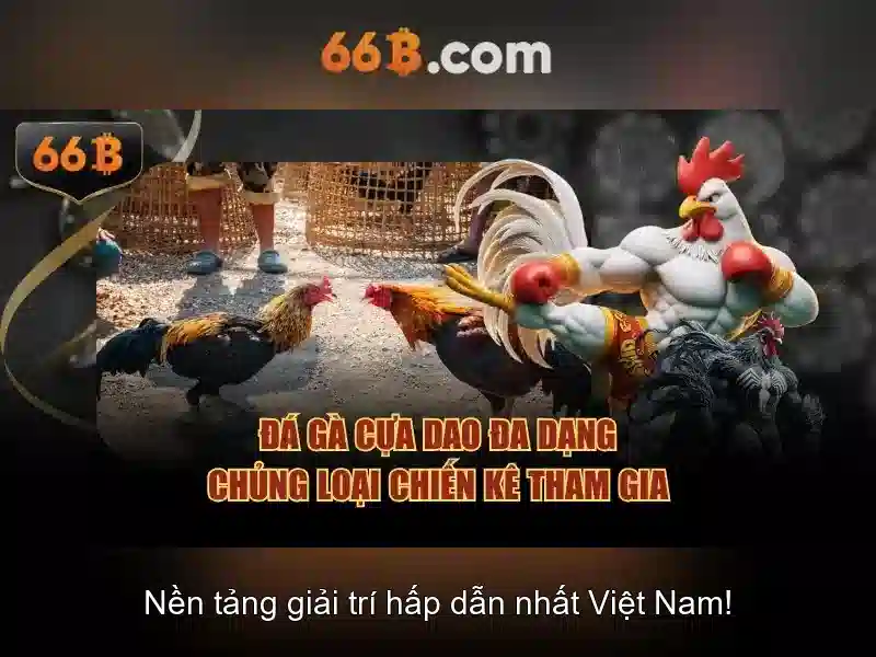Kiến trúc và cách hoạt động của 66b