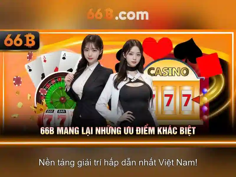 66b: một khái niệm đa lĩnh vực
