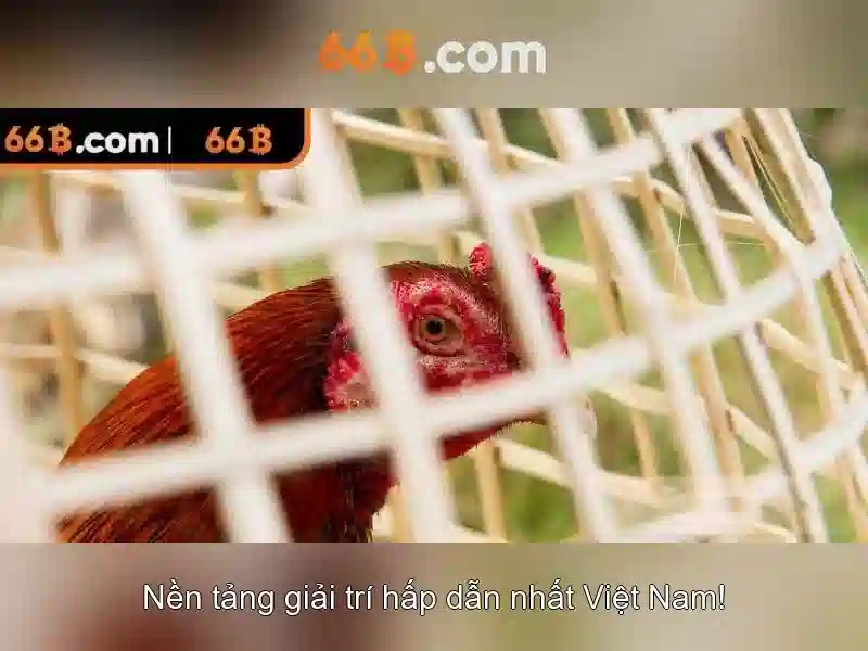 Quy mô và chiến lược huấn luyện của 66B