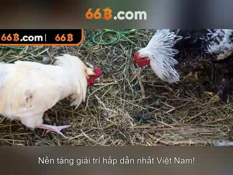 66B: Mô hình ngôn ngữ lớn 66 tỷ tham số và tác động