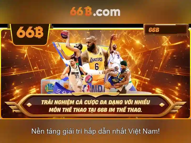 66b: Hành trình thương hiệu từ cảm hứng đến trải nghiệm