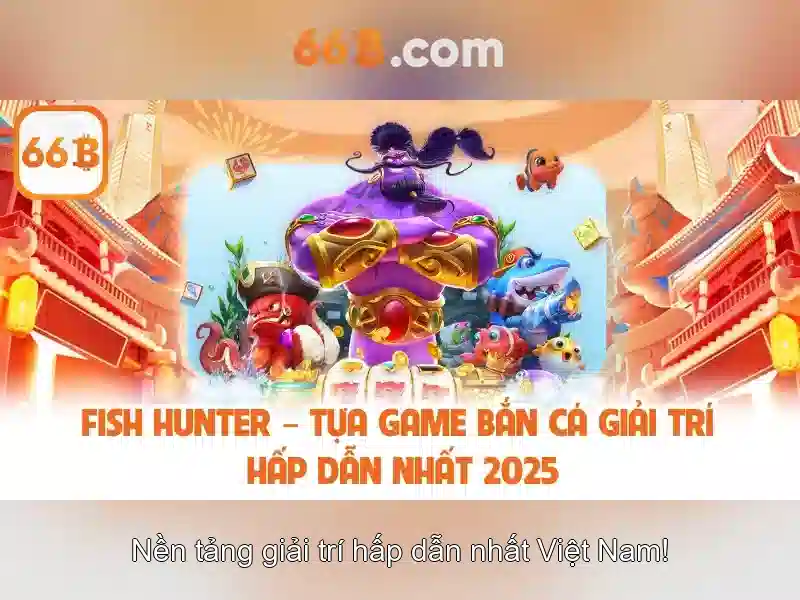 66b là gì?