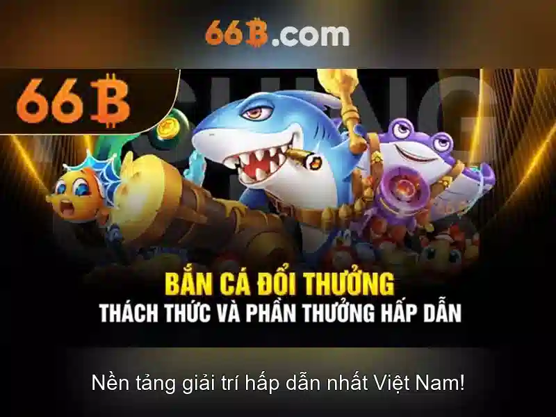 66b trong doanh nghiệp và giáo dục