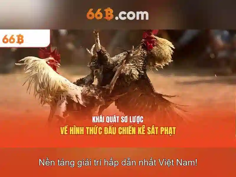 Kích thước và kiến trúc của 66B