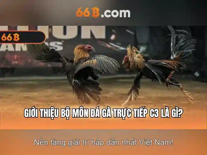 Kiến trúc của 66B