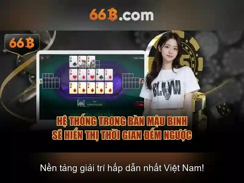 66B: Mô tả, khả năng và ứng dụng