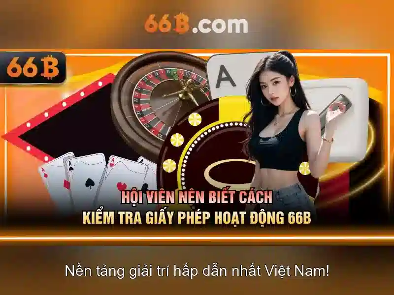 '66b là gì?'