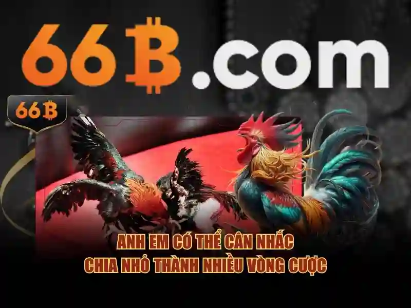 Ứng dụng tiềm năng và thách thức