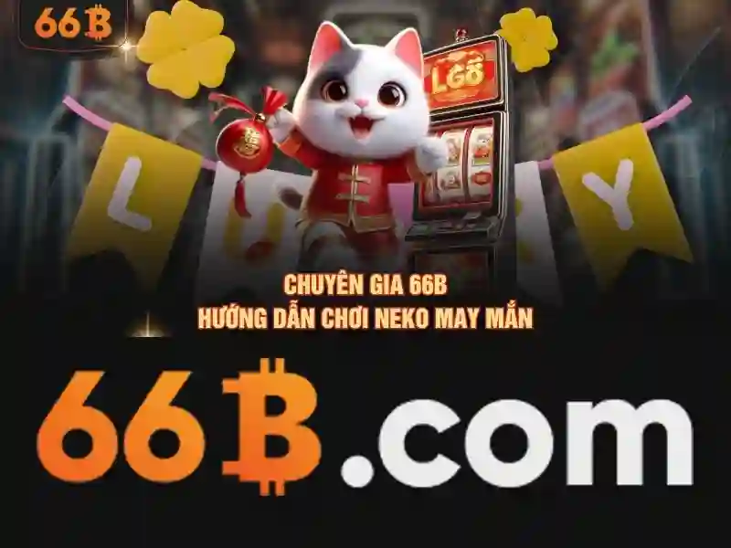 66B là gì?